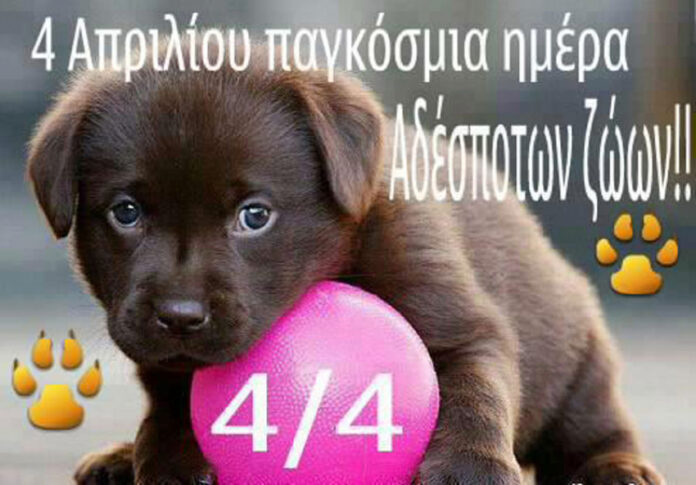0176e5679c2a05ffef9aadc185b49225_XL
