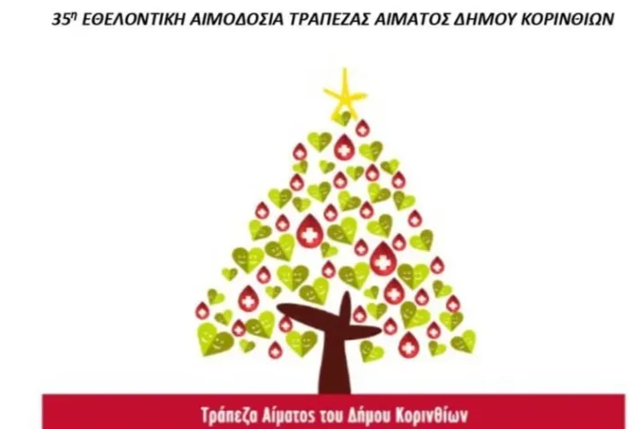 IMG_20241216_113933