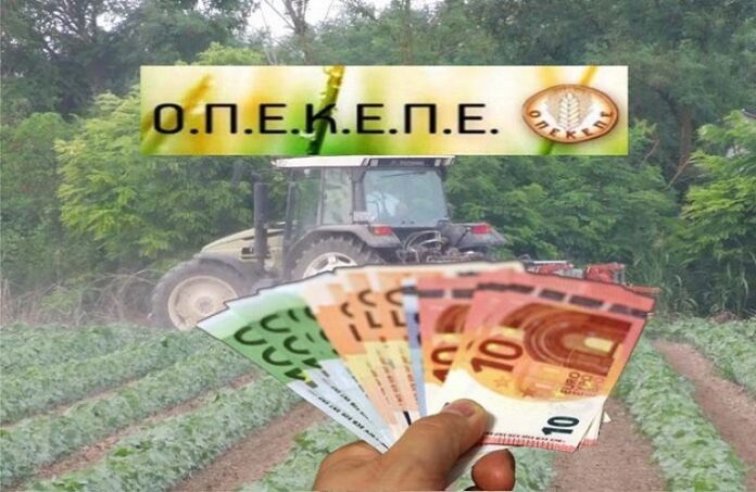 0000