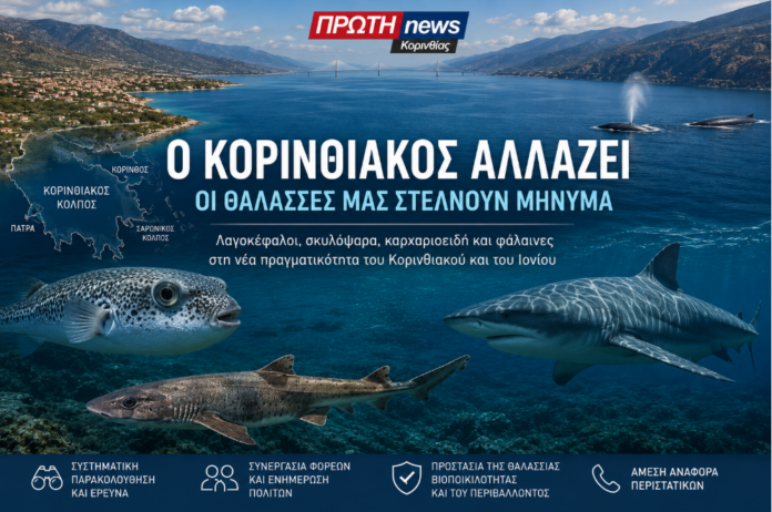 o korinthoakosz allazei