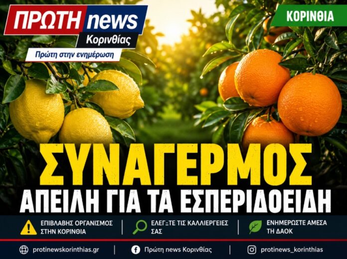 synagermos gia ta esperoidi thw Korinthias
